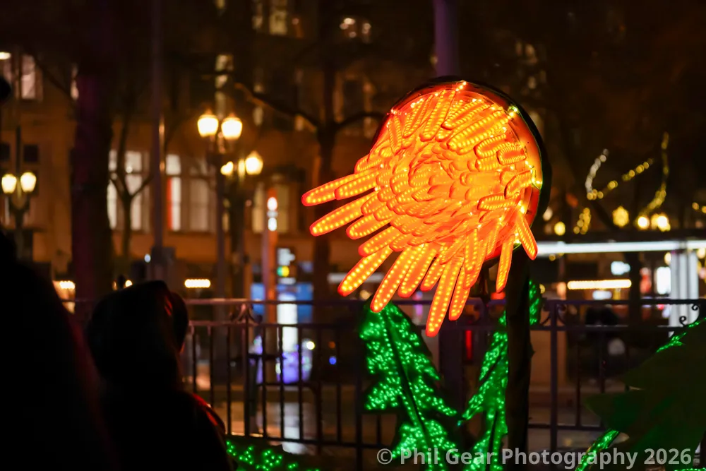 PDX Winter Light Festival 2026 - DSC02936