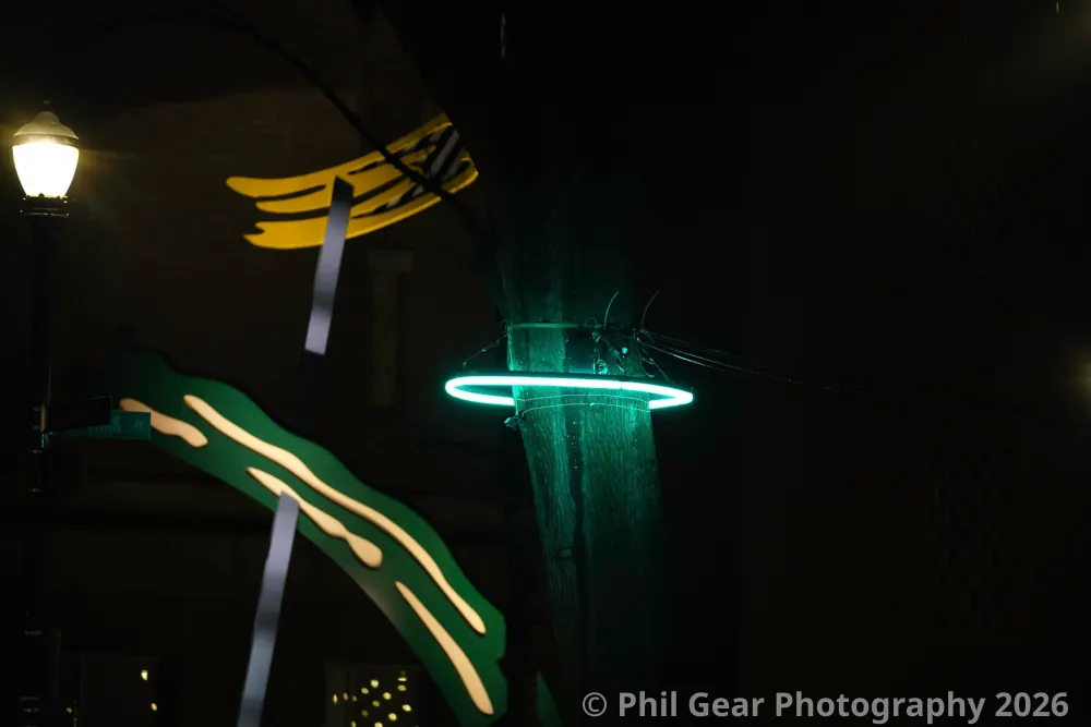 PDX Winter Light Festival 2026 - DSC03136