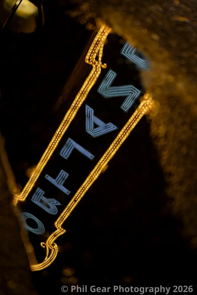 PDX Winter Light Festival 2026 - DSC03155