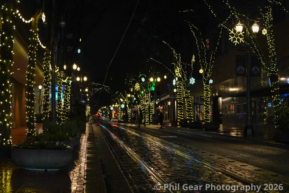 PDX Winter Light Festival 2026 - DSC03169