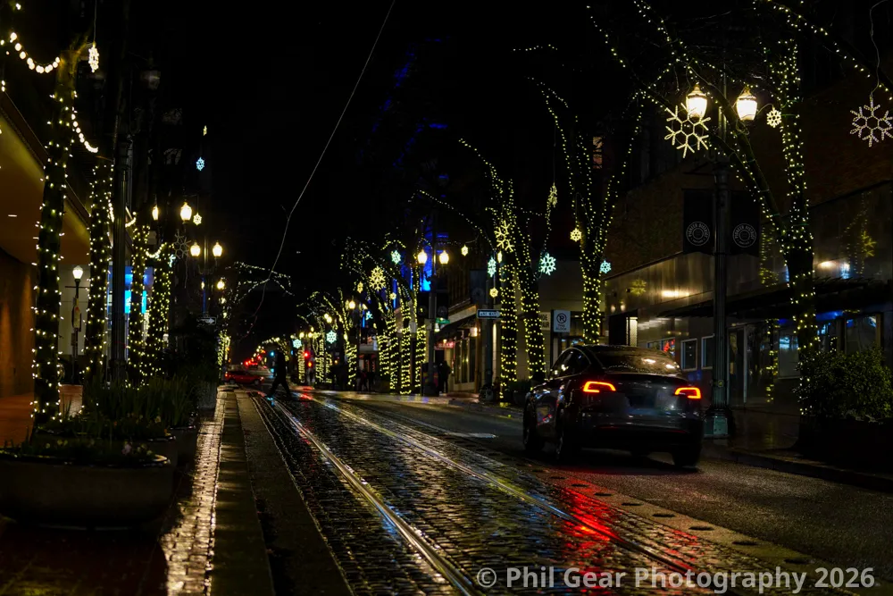 PDX Winter Light Festival 2026 - DSC03189
