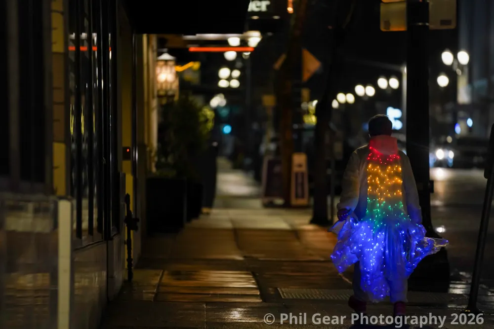 PDX Winter Light Festival 2026 - DSC03198