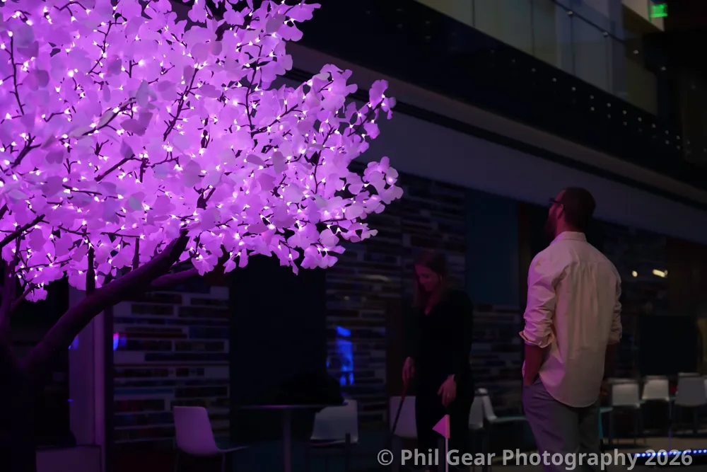 PDX Winter Light Festival 2026 - DSC03217