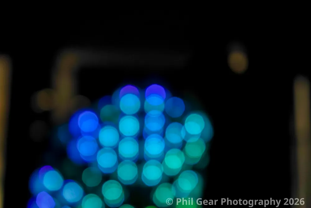 PDX Winter Light Festival 2026 - DSC03311