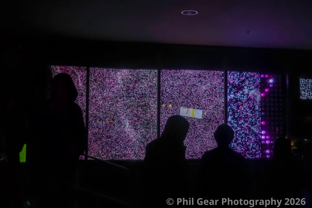 PDX Winter Light Festival 2026 - DSC03390