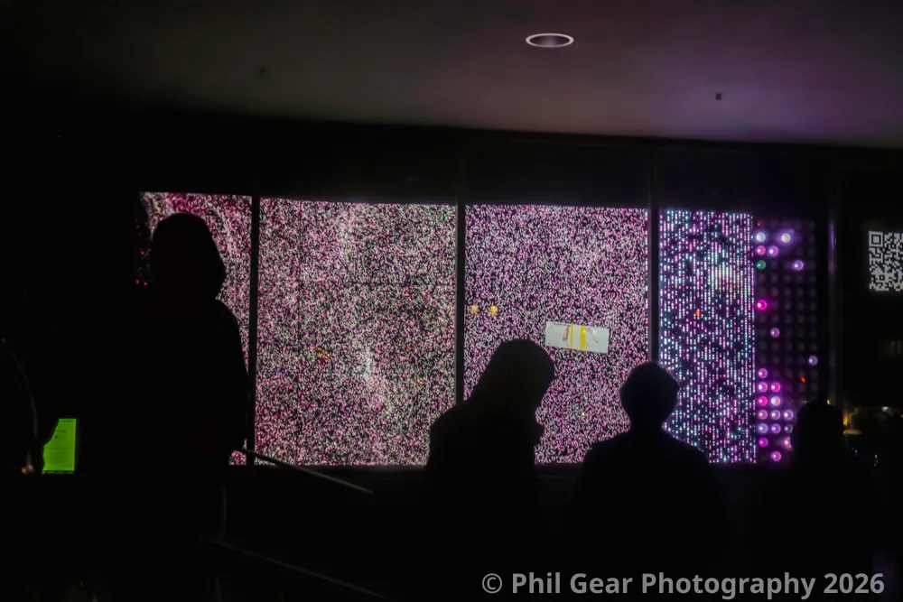 PDX Winter Light Festival 2026 - DSC03391