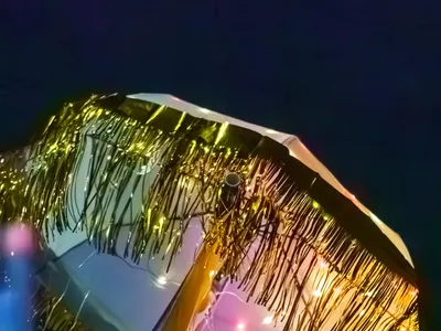 Mardi Gras Parade 2025 - 20250304-101