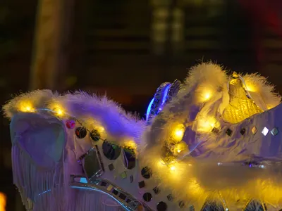 Mardi Gras Parade 2025 - 20250304-104