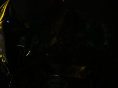 Mardi Gras Parade 2025 - 20250304-20