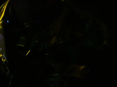 Mardi Gras Parade 2025 - 20250304-20