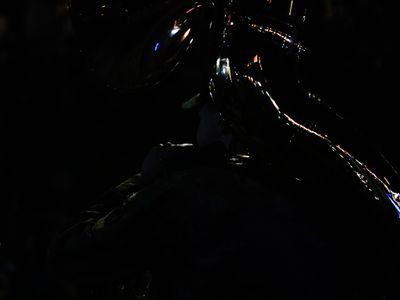 Mardi Gras Parade 2025 - 20250304-53