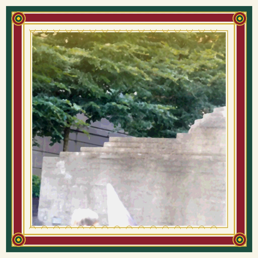 Verdant Life on Aged Concrete