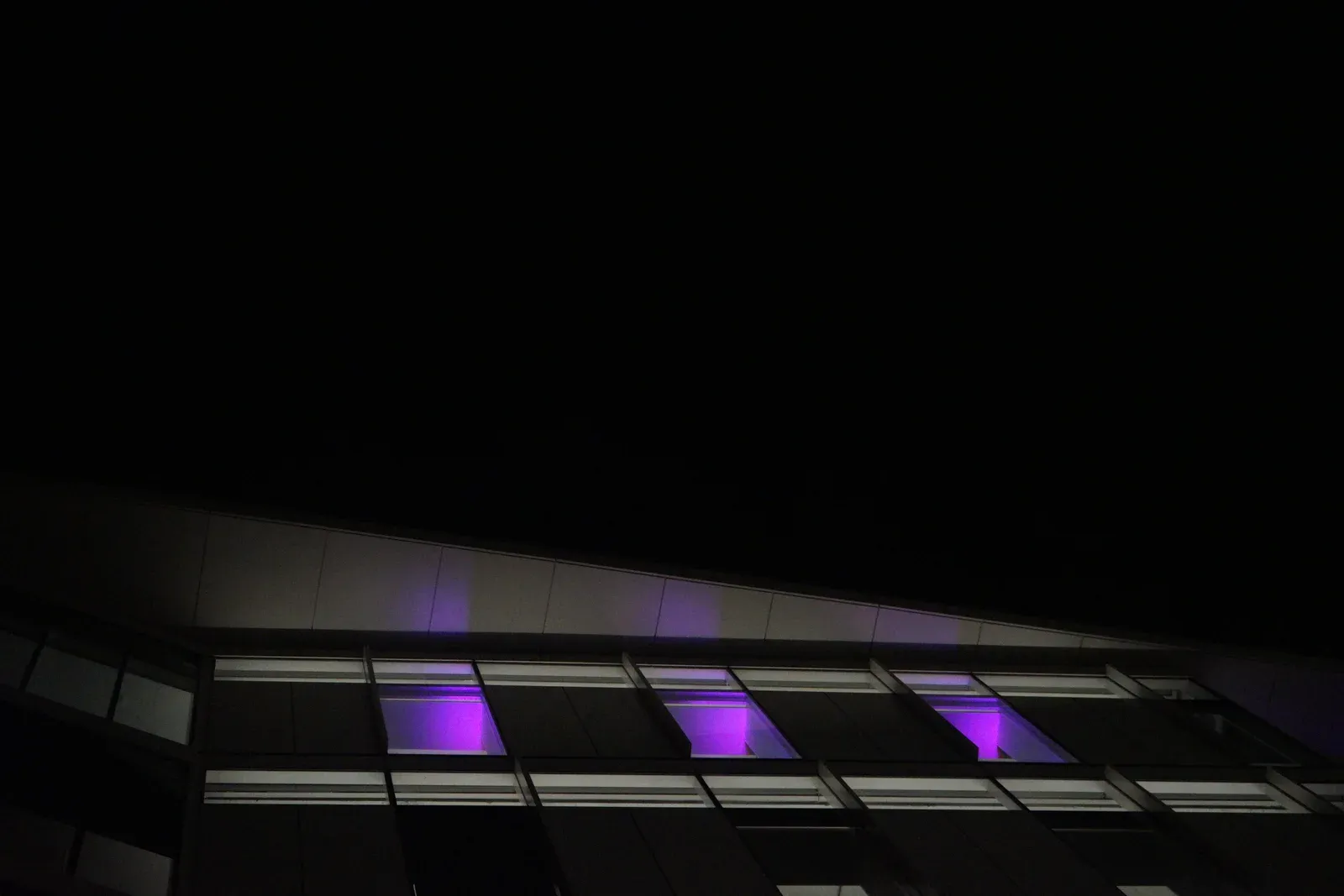 Portland Nocturnal Urban Study No. 28