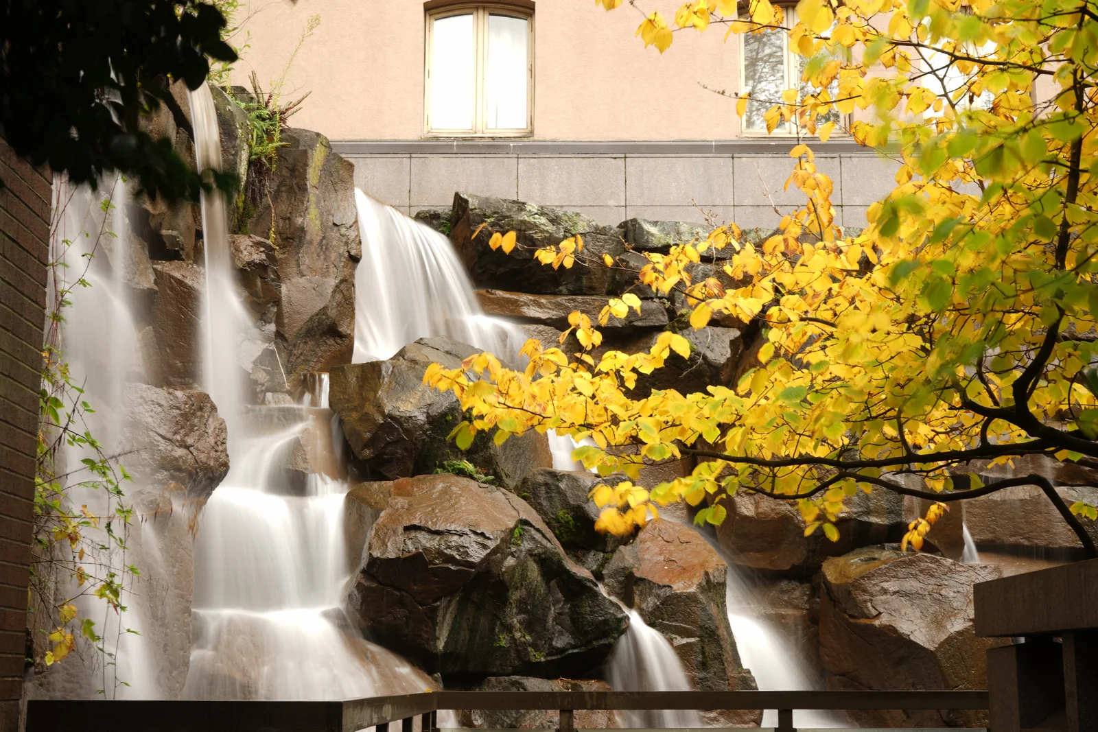 Pacific Crest Living Sanctuary #1815