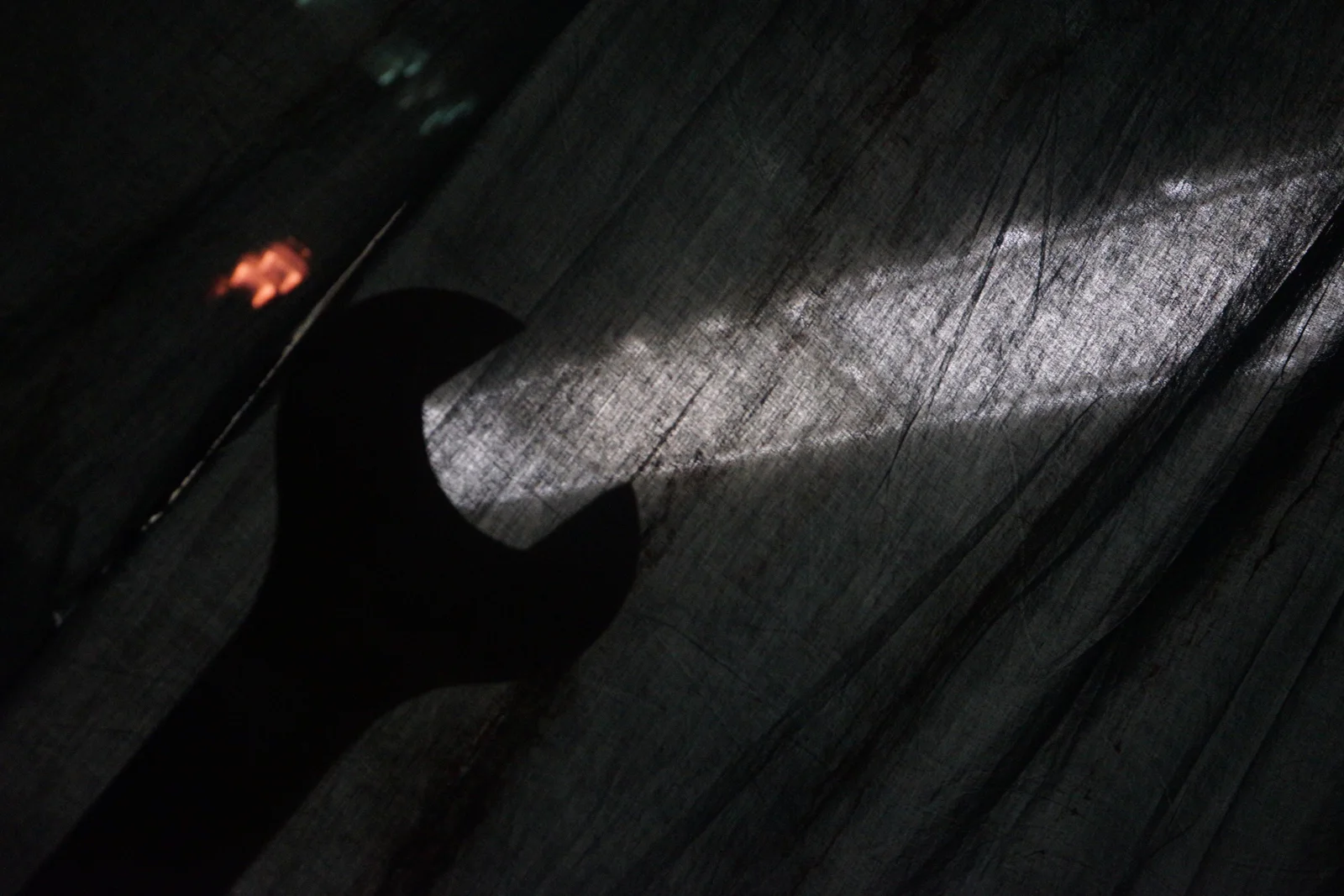 Pacific Northwest Wilderness Monograph Study #2002