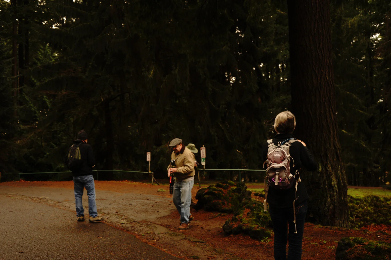 Pacific Northwest Wilderness Monograph Study #2158