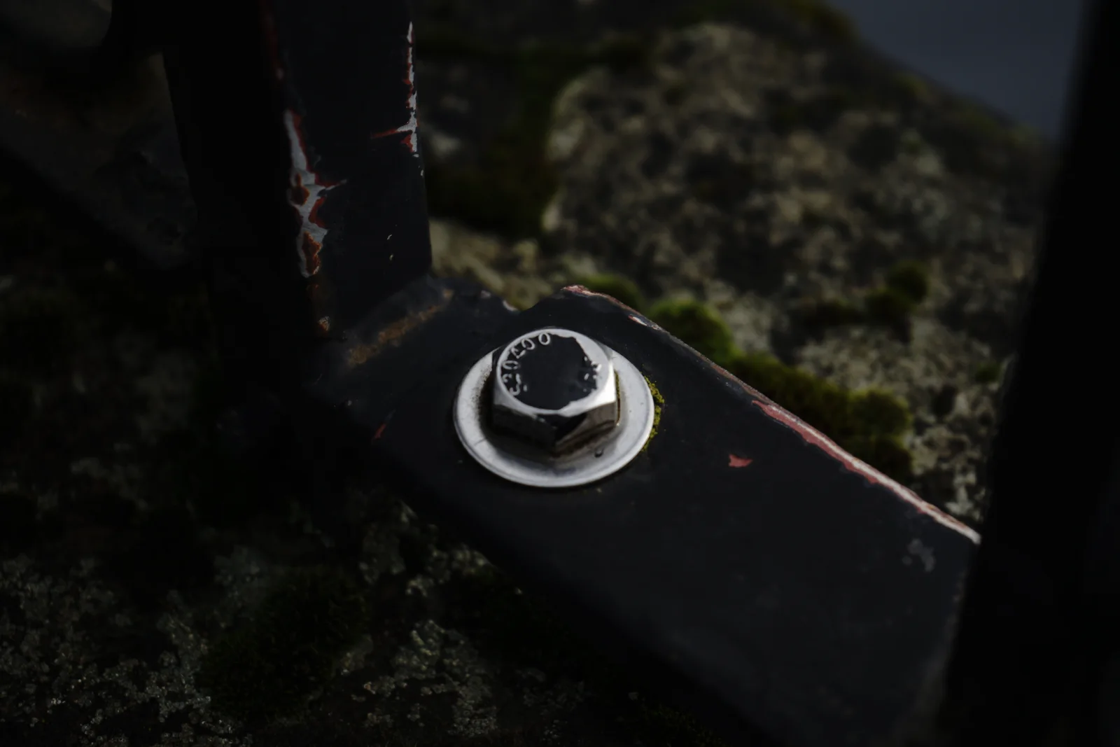 Black Owl Botanical Macro Archive #pg-real-2186