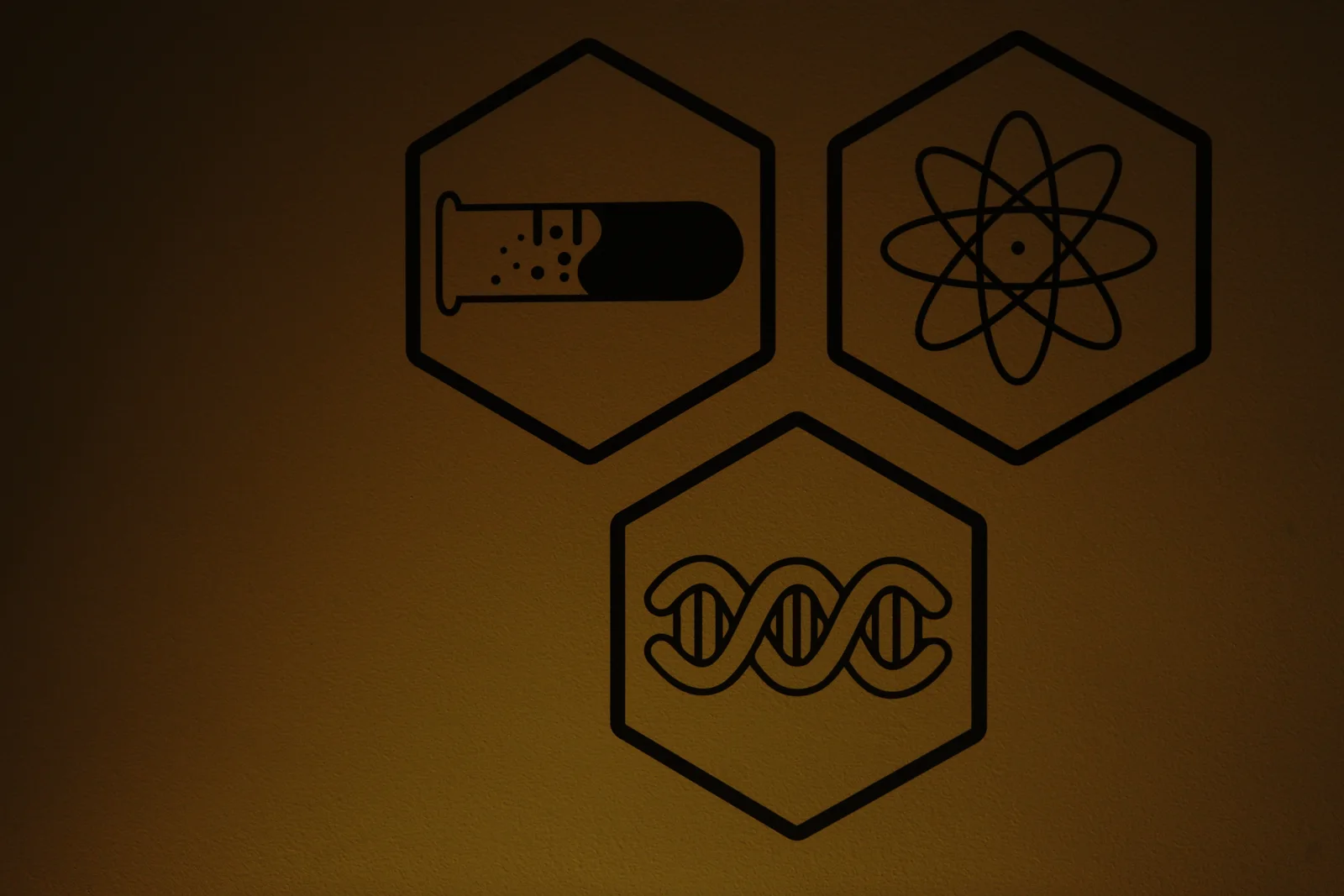 Pacific Crest Living Sanctuary #2250